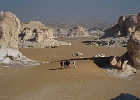 Désert Blanc. Egypte. Octobre 2004.