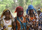 Jeunes filles peules. Niger. Février 2007.