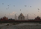 Taj Mahal, Agra 2026