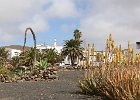 Teguise