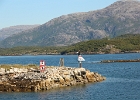 Ferry Tjøtta-Forvik, juillet 2018.